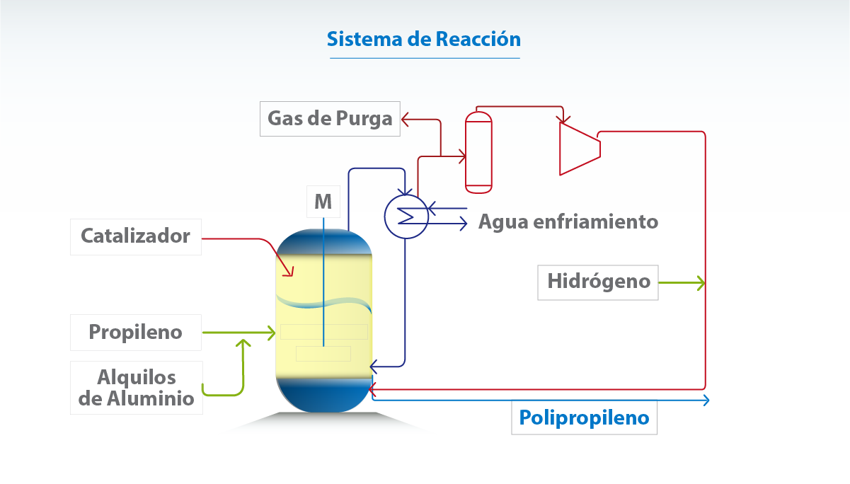 Sistema de Reacci贸n